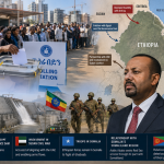 Ethiopia's democratic veneer